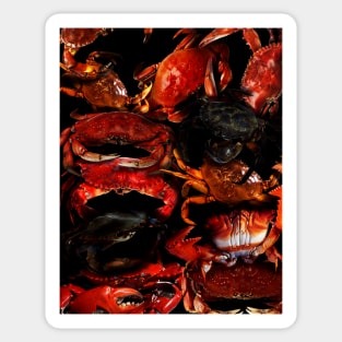 Crabs Sticker